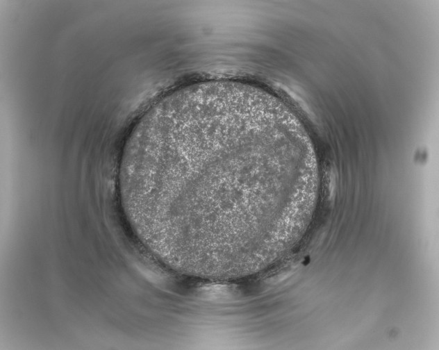 X0000090450499200708102052