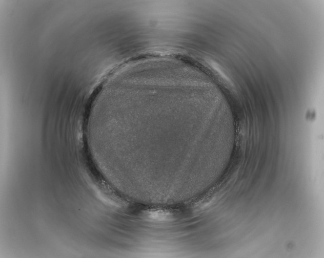 X0000090450500200708102052