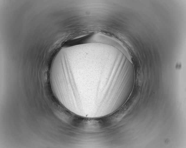 X0000090450501200708102052