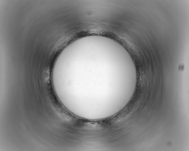 X0000090450502200708102052