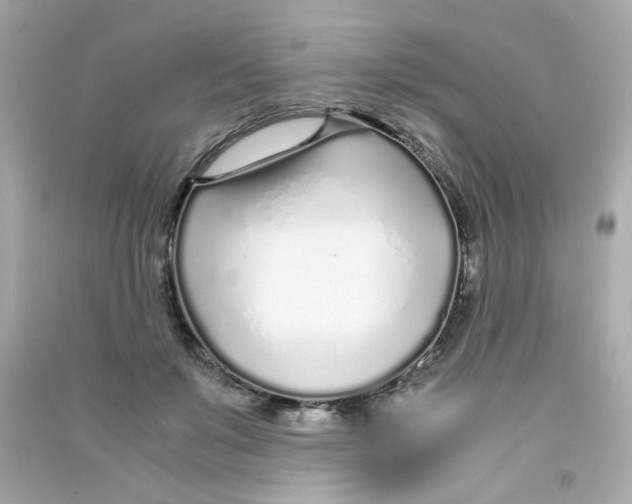 X0000090450503200708102052