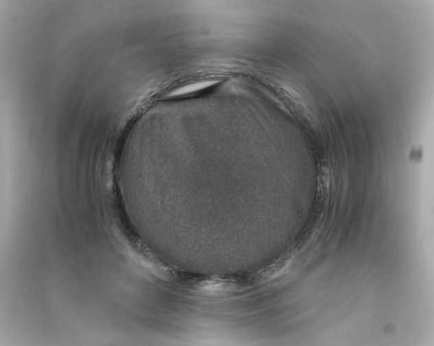 X0000090450504200708102052