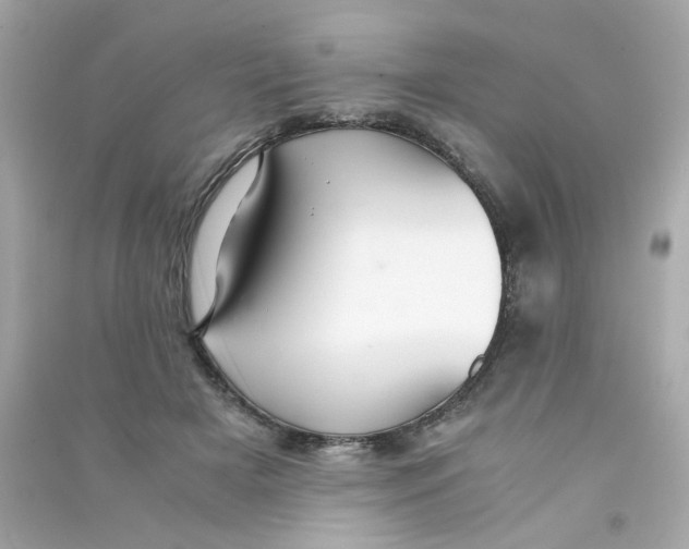 X0000090450505200708102052