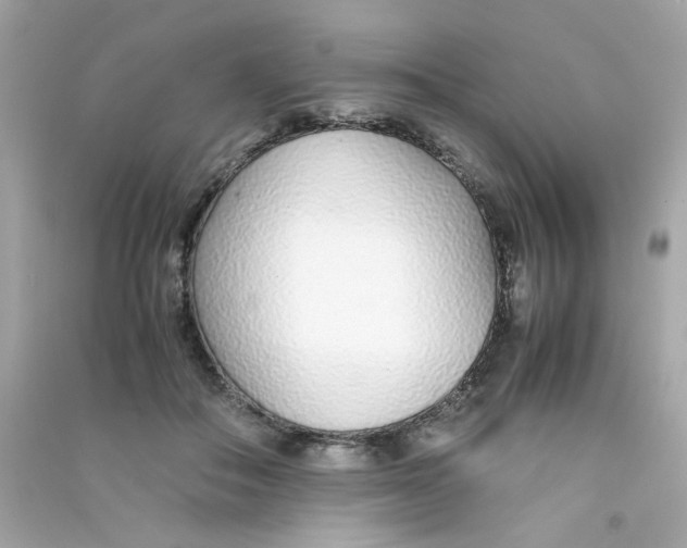 X0000090450506200708102052