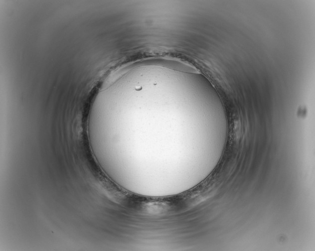 X0000090450508200708102052