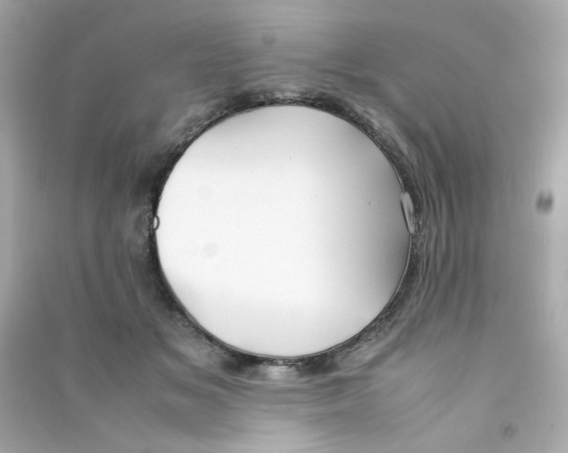 X0000090450509200708102052