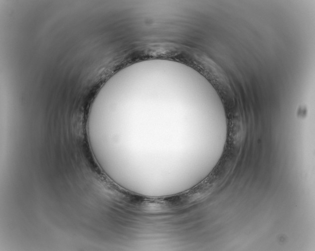 X0000090450510200708102052