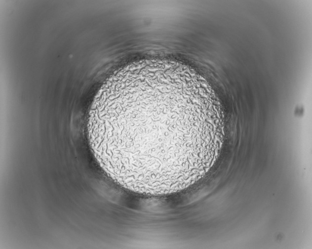 X0000090450511200708102052