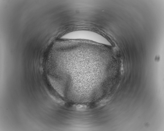 X0000090450512200708102052