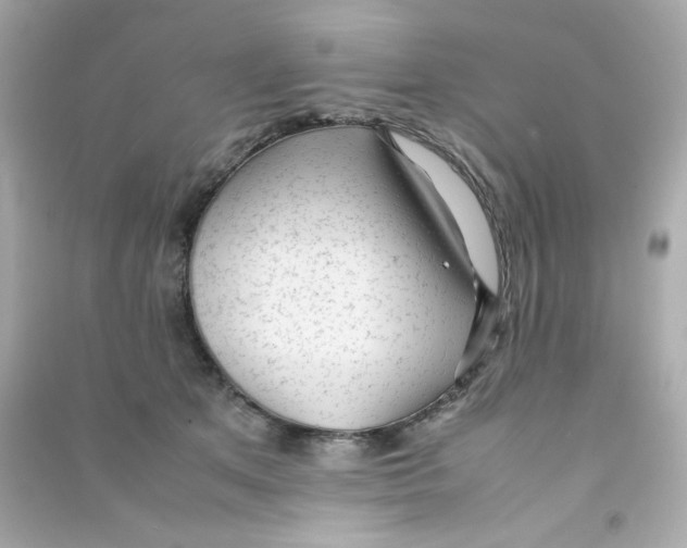 X0000090450513200708102052