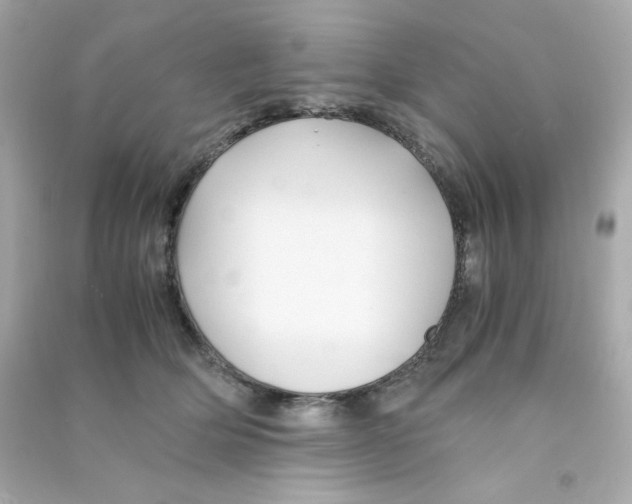 X0000090450514200708102052