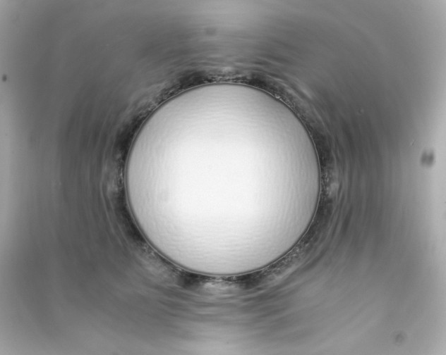 X0000090450515200708102052