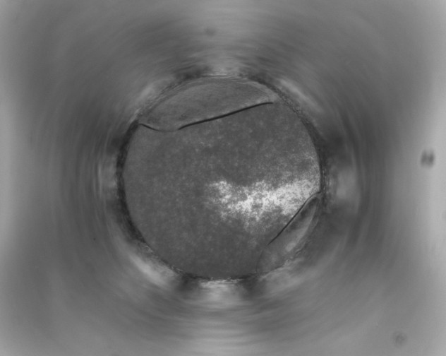 X0000090450516200708102052