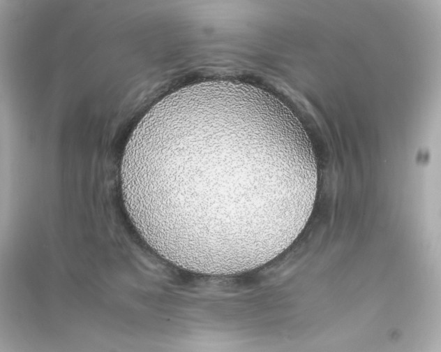 X0000090450517200708102052