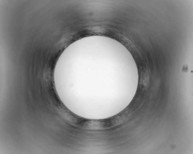 X0000090450518200708102052