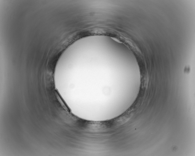 X0000090450521200708102052