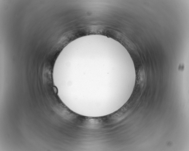 X0000090450522200708102052