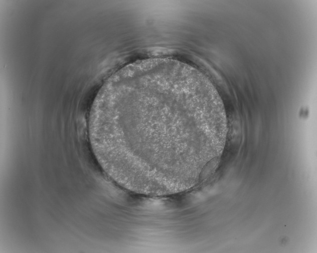 X0000090450523200708102052