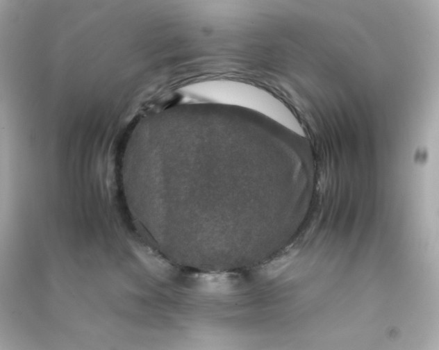 X0000090450524200708102052