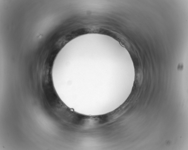 X0000090450525200708102052