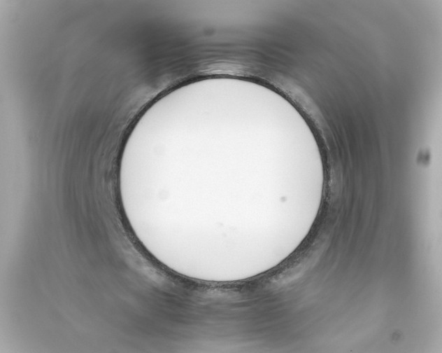 X0000090450529200708102051