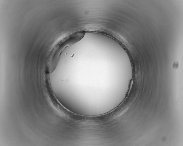 X0000090450530200708102051