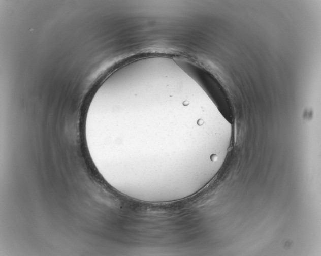 X0000090450531200708102051