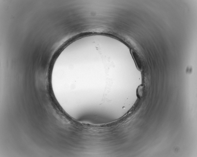 X0000090450532200708102051