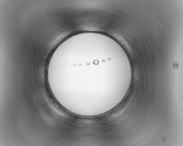 X0000090450533200708102051