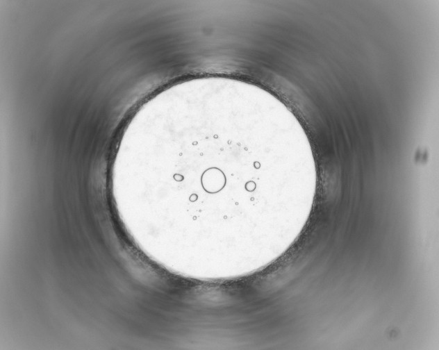 X0000090450534200708102051