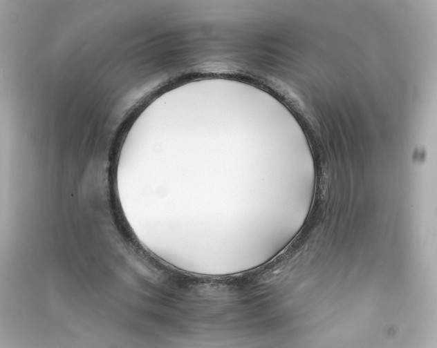 X0000090450535200708102051