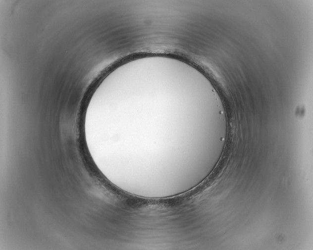 X0000090450536200708102052