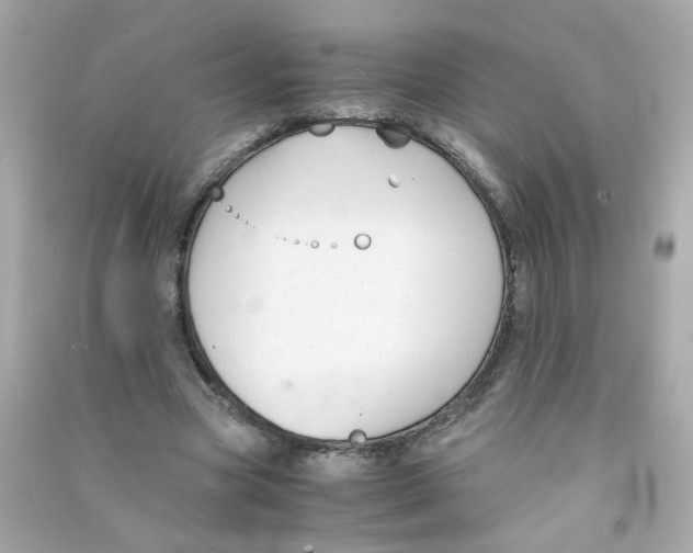 X0000090450537200708102052