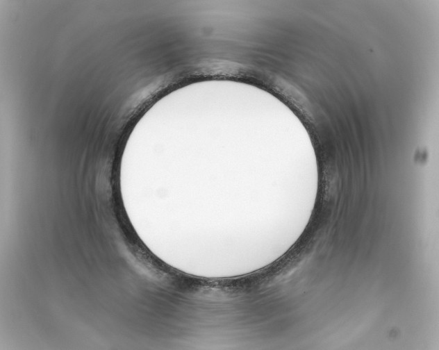 X0000090450538200708102052