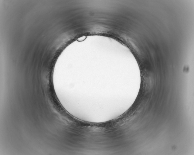 X0000090450539200708102052