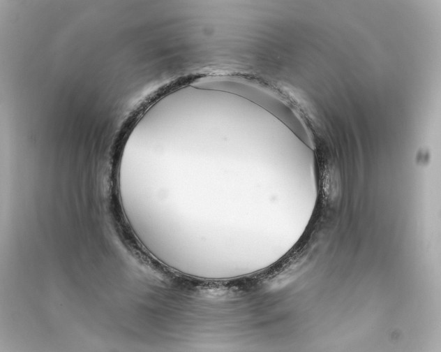 X0000090450540200708102052