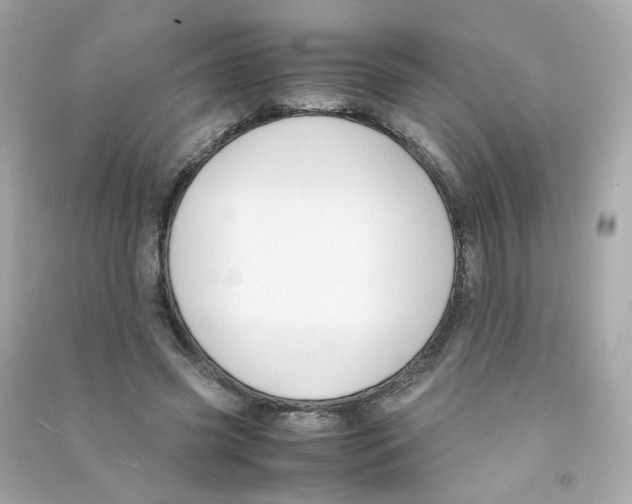 X0000090450541200708102052