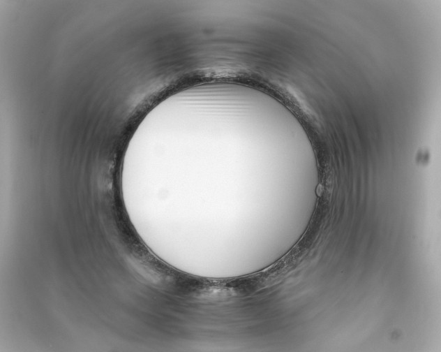 X0000090450543200708102052