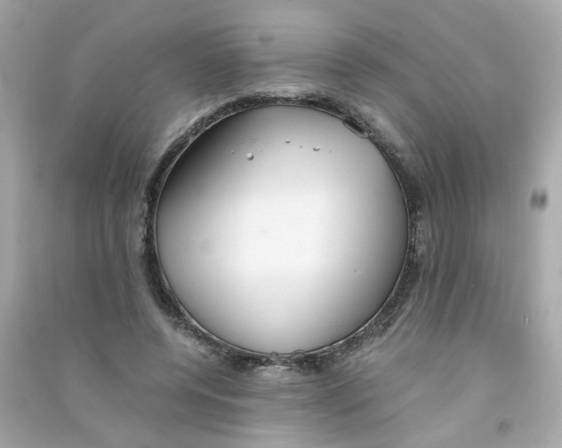 X0000090450544200708102052