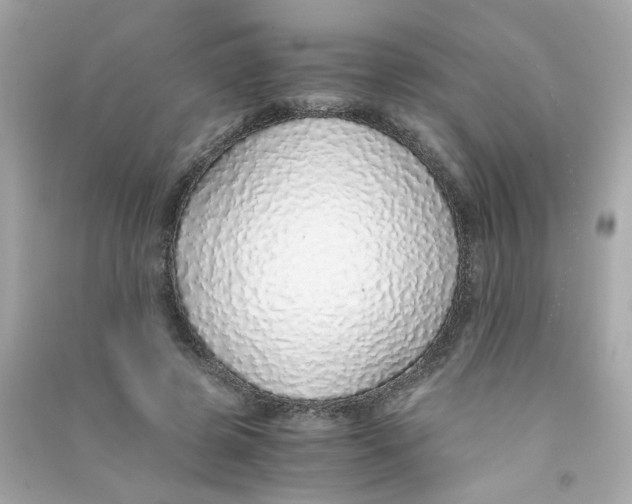 X0000090450545200708102052