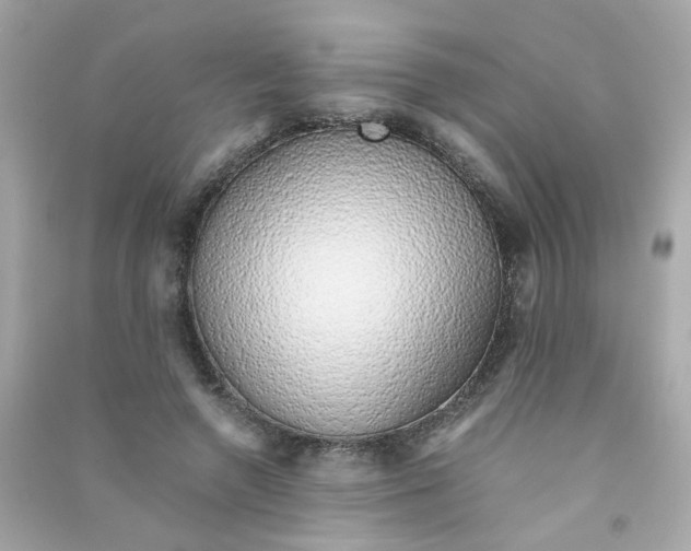 X0000090450546200708102052