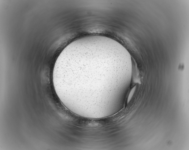 X0000090450547200708102052