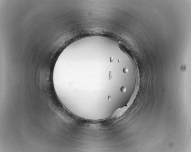 X0000090450548200708102052