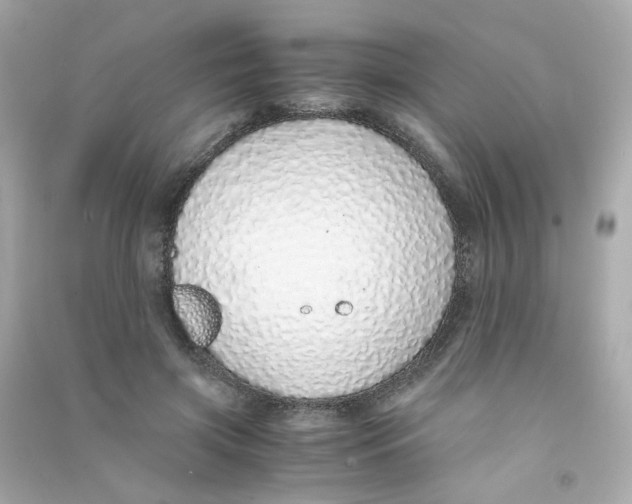 X0000090450549200708102052