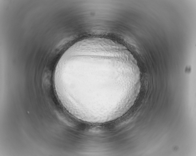 X0000090450550200708102052