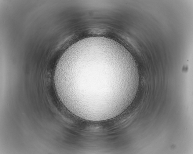 X0000090450551200708102052