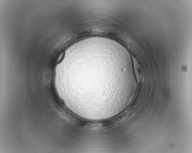 X0000090450554200708102052