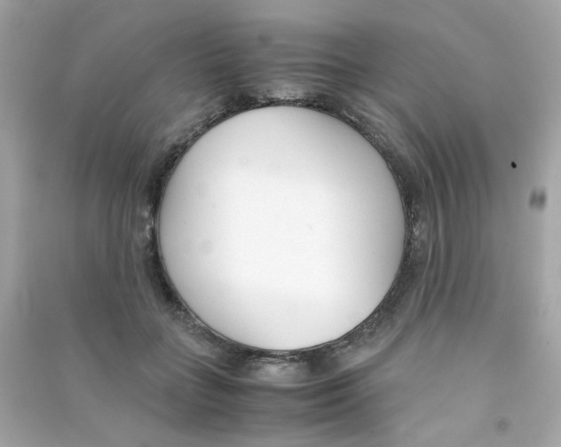 X0000090450555200708102052