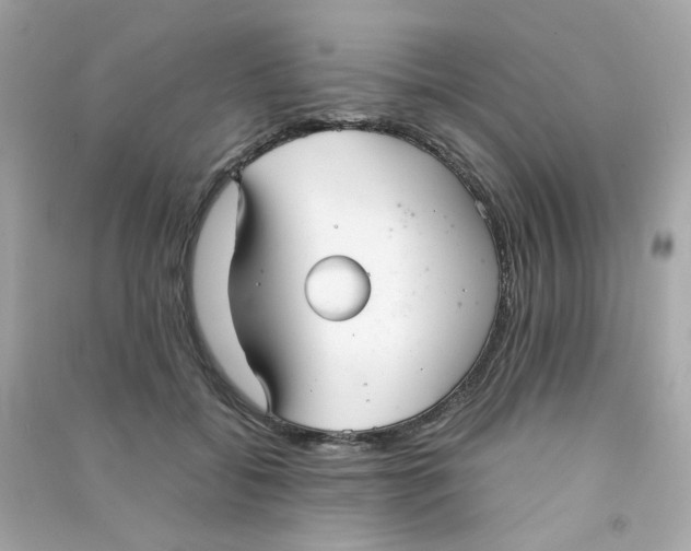 X0000090450556200708102052