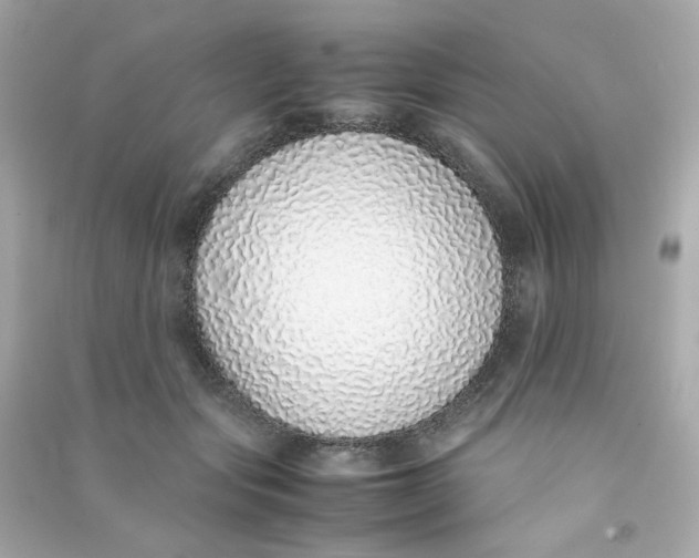 X0000090450557200708102052